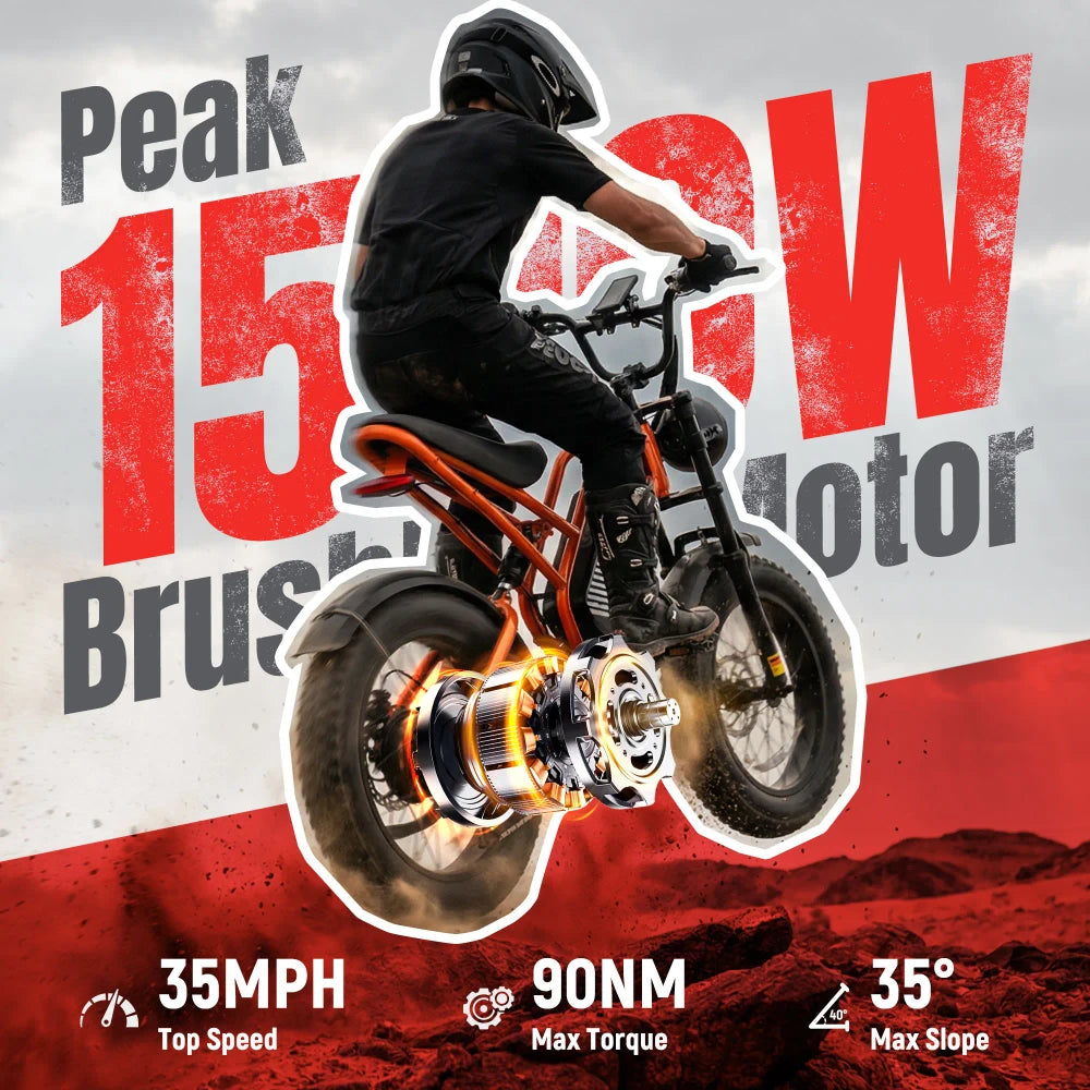 V300 Electric Dirt Bike for Adult, 48V 20.8/41.6Ah Removable Battery, 20"×4" Fat Tire E-Bike with 1500W Motor, Off-Road, Custom